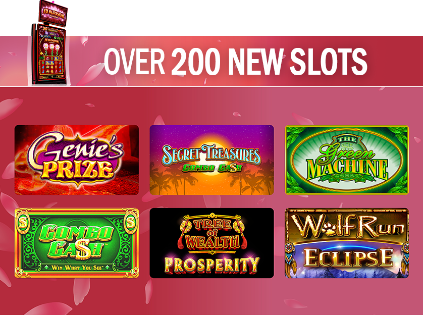 New Top Win Slot Games